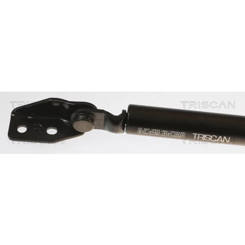 Pneumatická pružina, Batožinový/nákladný priestor 8710 50213 /TRISCAN/ - obr. 1