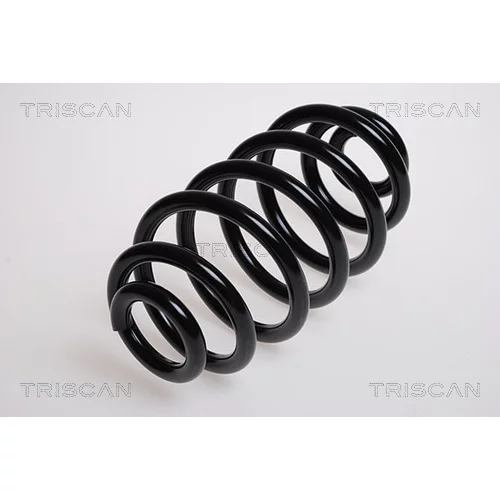Pružina podvozku TRISCAN 8750 1719