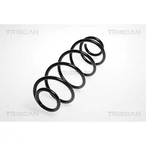 Pružina podvozku TRISCAN 8750 2884