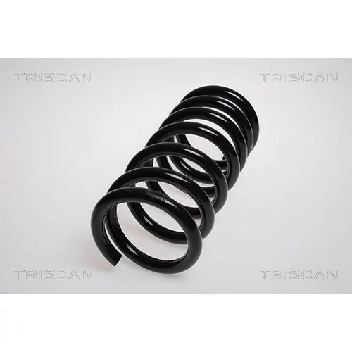 Pružina podvozku TRISCAN 8750 4259