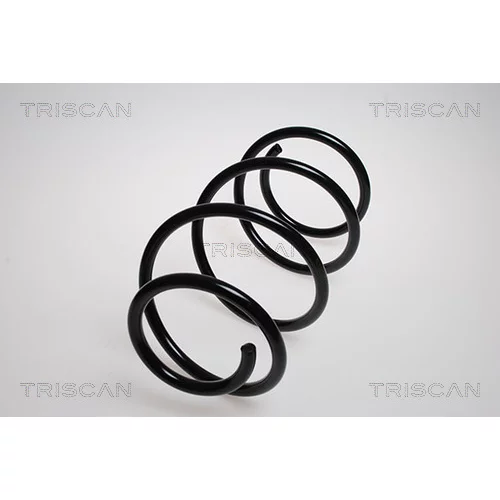 Pružina podvozku TRISCAN 8750 8015
