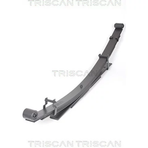 Sada pružín TRISCAN 8765 13023