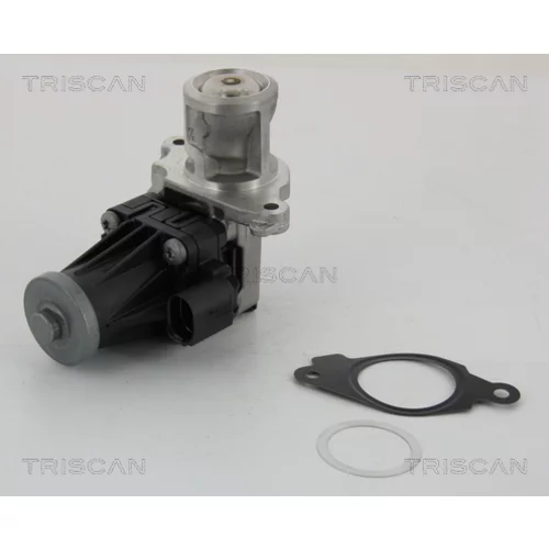 EGR ventil TRISCAN 8813 10004