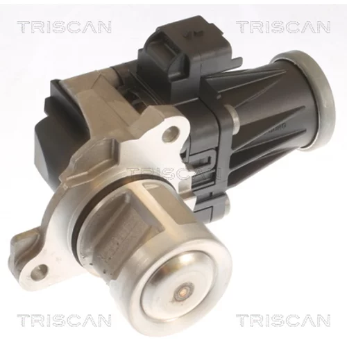 EGR ventil TRISCAN 8813 10053