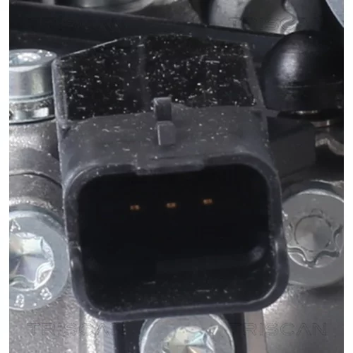 EGR ventil 8813 10106 /TRISCAN/ - obr. 1