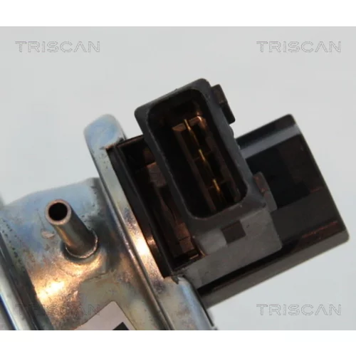 EGR ventil 8813 11002 /TRISCAN/ - obr. 1