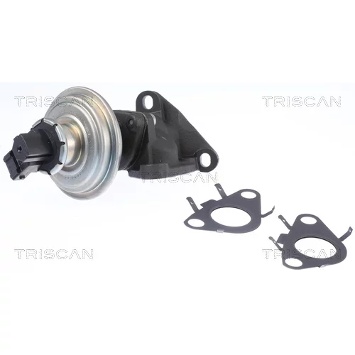 EGR ventil TRISCAN 8813 11010