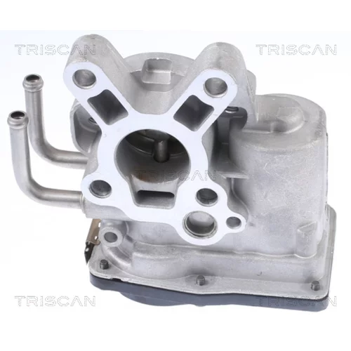 EGR ventil TRISCAN 8813 14010