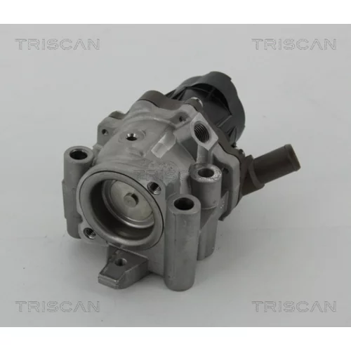 EGR ventil TRISCAN 8813 15208