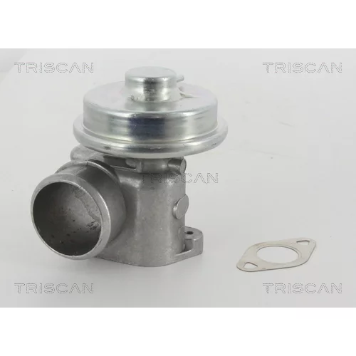 EGR ventil TRISCAN 8813 16010