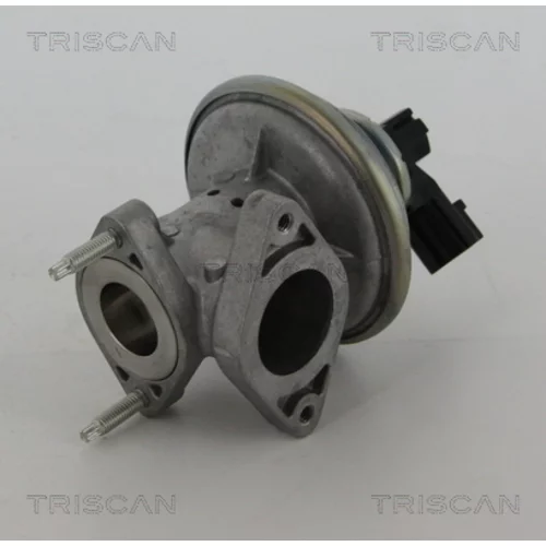 EGR ventil 8813 16043 /TRISCAN/ - obr. 2