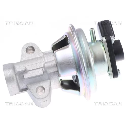EGR ventil TRISCAN 8813 16069