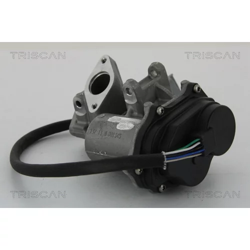 EGR ventil 8813 17019 /TRISCAN/ - obr. 2