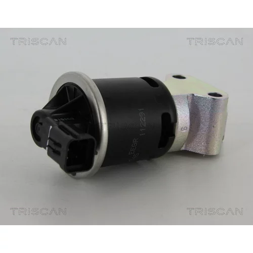 EGR ventil 8813 21008 /TRISCAN/ - obr. 2