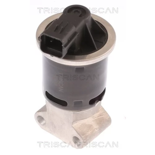 EGR ventil 8813 21100 /TRISCAN/ - obr. 2