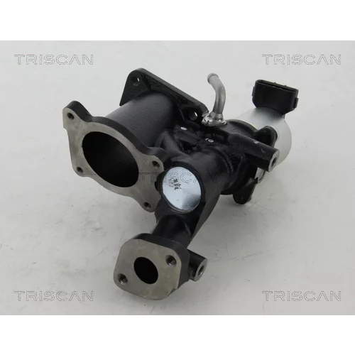 EGR ventil 8813 24022 /TRISCAN/ - obr. 2