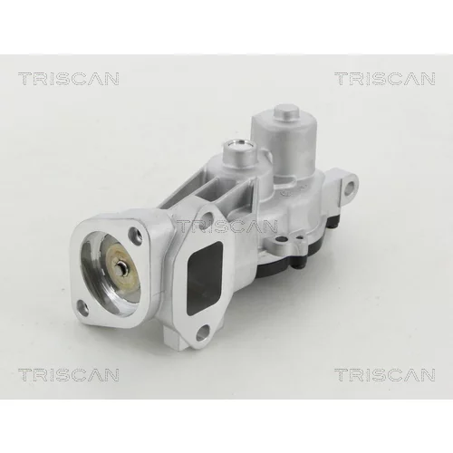 EGR ventil TRISCAN 8813 24040