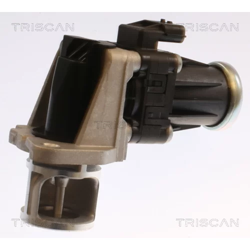 EGR ventil 8813 25040 /TRISCAN/