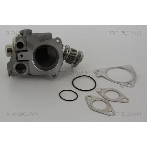EGR ventil 8813 28019 /TRISCAN/ - obr. 1