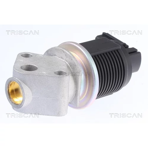 EGR ventil 8813 29009 /TRISCAN/ - obr. 2