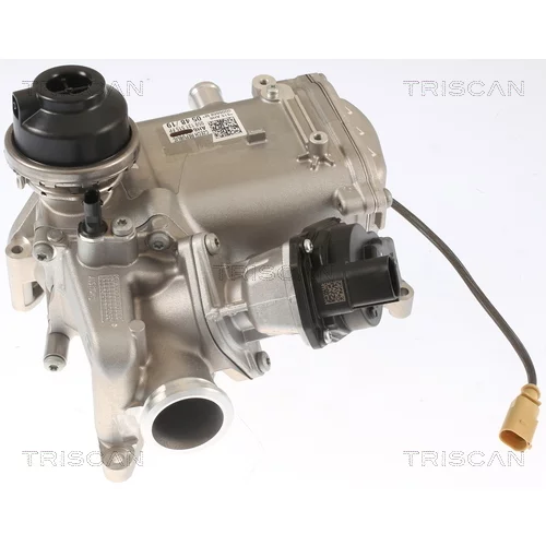 EGR ventil TRISCAN 8813 29013