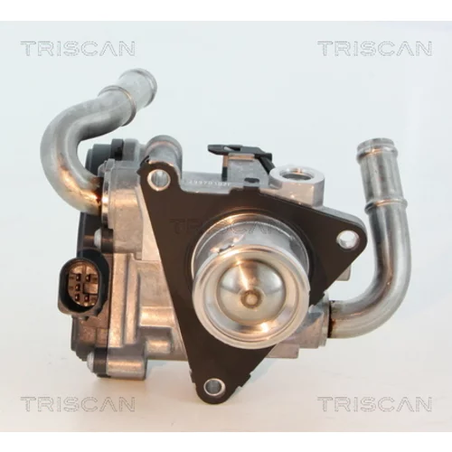 EGR ventil 8813 29069 /TRISCAN/ - obr. 1