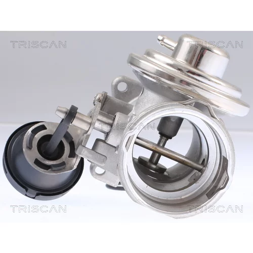 EGR ventil 8813 29308 /TRISCAN/ - obr. 2