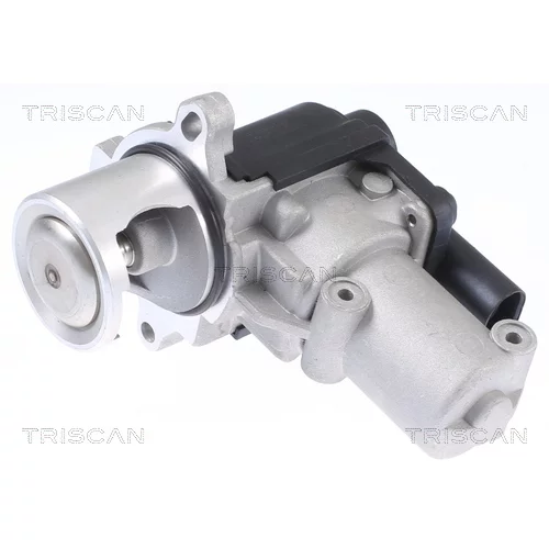 EGR ventil 8813 29310 /TRISCAN/
