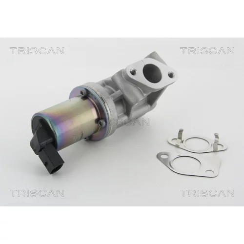 EGR ventil 8813 43001 /TRISCAN/ - obr. 2