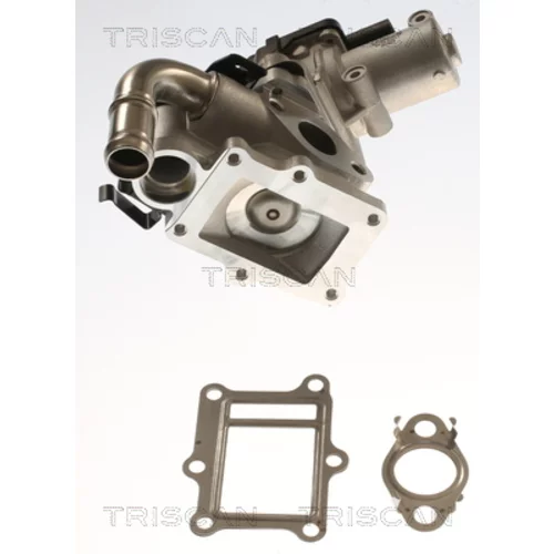 EGR ventil 8813 43017 /TRISCAN/ - obr. 2