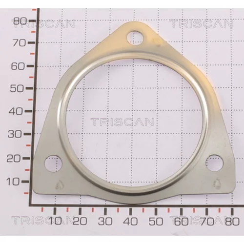 Tesnenie TRISCAN 8813 99163