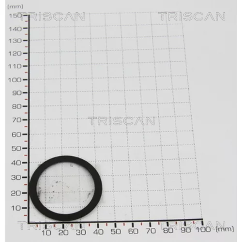 Tesnenie TRISCAN 8813 993