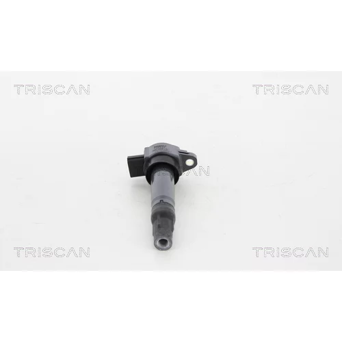Zapaľovacia cievka TRISCAN 8860 42010