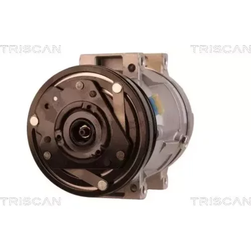 Kompresor klimatizácie TRISCAN 9020 24012