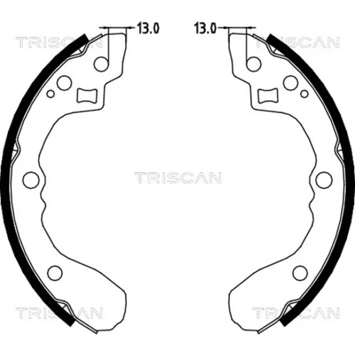 Sada brzdových čeľustí TRISCAN 8100 18001