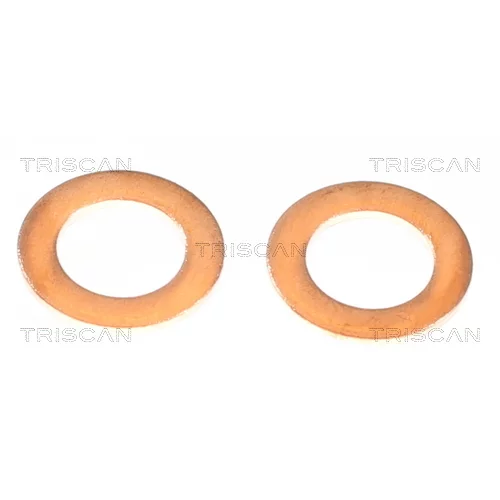 Brzdová hadica 8150 432021 /TRISCAN/ - obr. 3