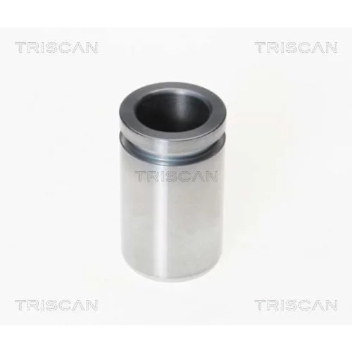 Piest brzdového strmeňa 8170 232802 /TRISCAN/