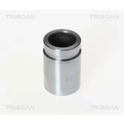 Piest brzdového strmeňa 8170 233030 /TRISCAN/
