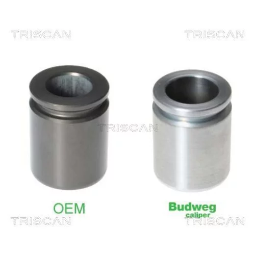 Piest brzdového strmeňa 8170 233517 /TRISCAN/