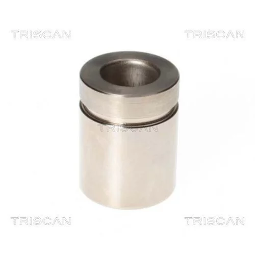 Piest brzdového strmeňa 8170 233519 /TRISCAN/
