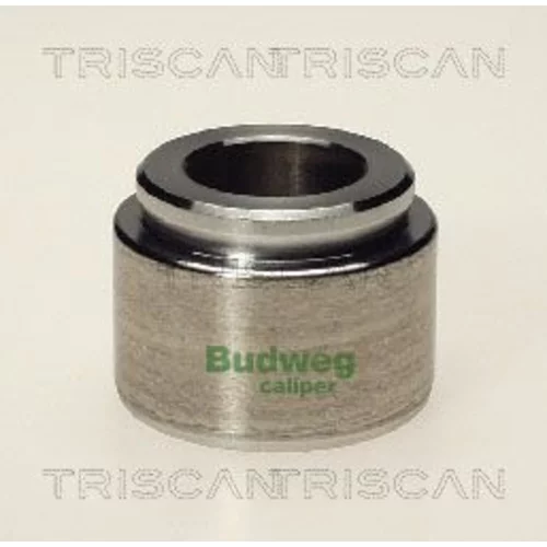 Piest brzdového strmeňa 8170 234003 /TRISCAN/