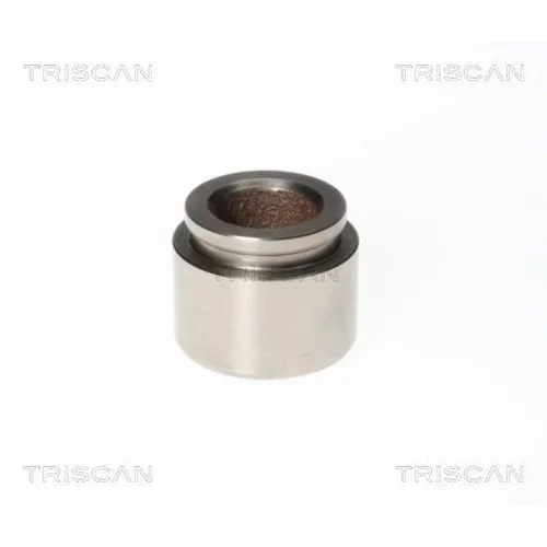 Piest brzdového strmeňa 8170 234036 /TRISCAN/