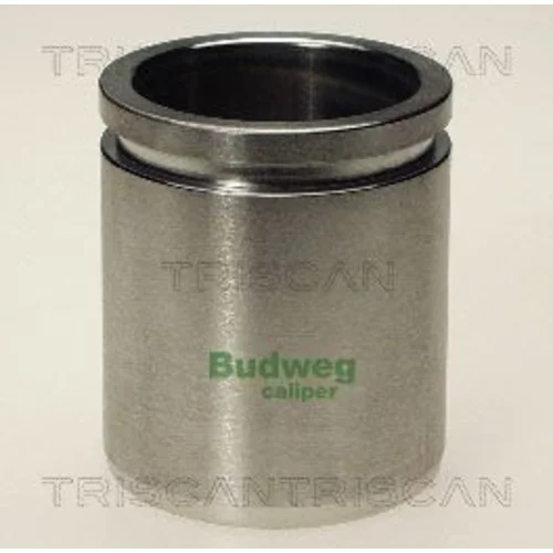 Piest brzdového strmeňa 8170 234516 /TRISCAN/