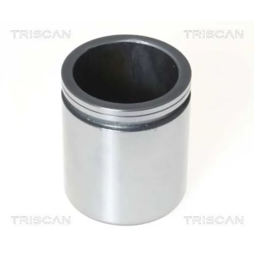 Piest brzdového strmeňa 8170 234871 /TRISCAN/
