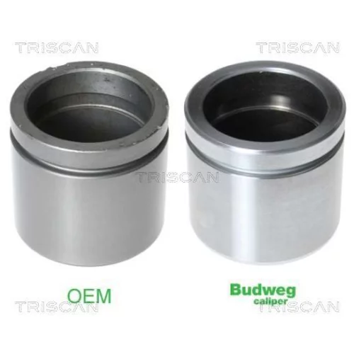 Piest brzdového strmeňa 8170 236023 /TRISCAN/
