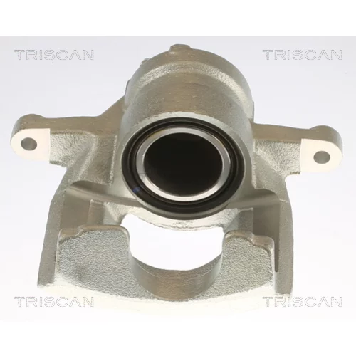Brzdový strmeň TRISCAN 8175 10125