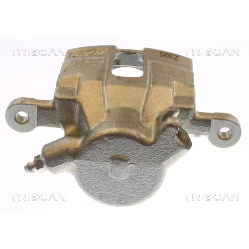Brzdový strmeň 8175 43251 /TRISCAN/ - obr. 1