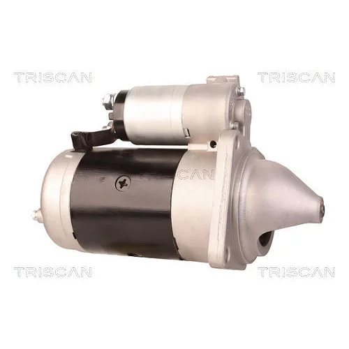 Štartér 8305 10079 /TRISCAN/ - obr. 6