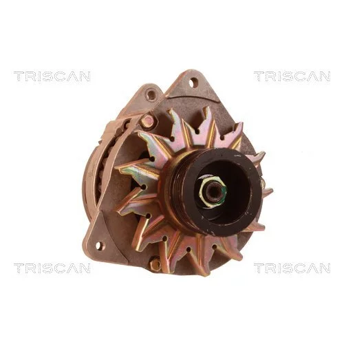Alternátor 8310 10009 /TRISCAN/ - obr. 4