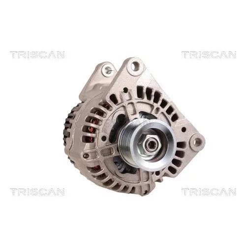 Alternátor 8310 10015 /TRISCAN/ - obr. 4